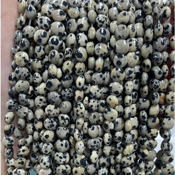 No_1345_Natural Dalmation Jasper Coin Beads_6mm_(Sold Per Strand)