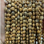 No_1348_Natural Picture Jasper Coin Beads_6mm_(Sold Per Strand)