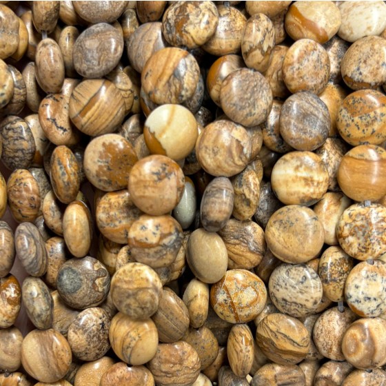 No_1521_Natural Picture Jasper Coin Beads_10mm_(Sold Per Strand)