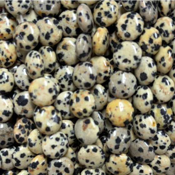 No_1556_Natural Dalmatian Stone Stone Coin Beads_10mm_(Sold Per Strand)