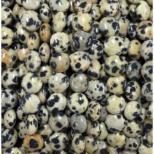 No_1567_Natural Dalmation Jasper Coin Beads_8mm_(Sold Per Strand)