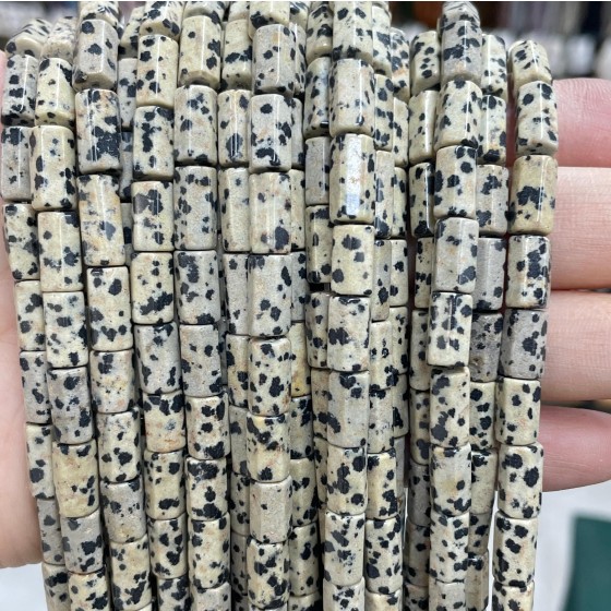No_1676_Natural Dalmation Jasper Hexagon Cylinder_6*10-12mm_(Sold Per Strand)