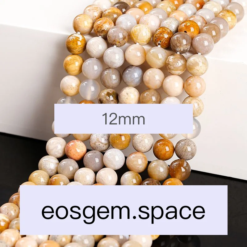 No_4251_3A Natural Coral Fossil Beads_12mm_(Sold Per Strand)